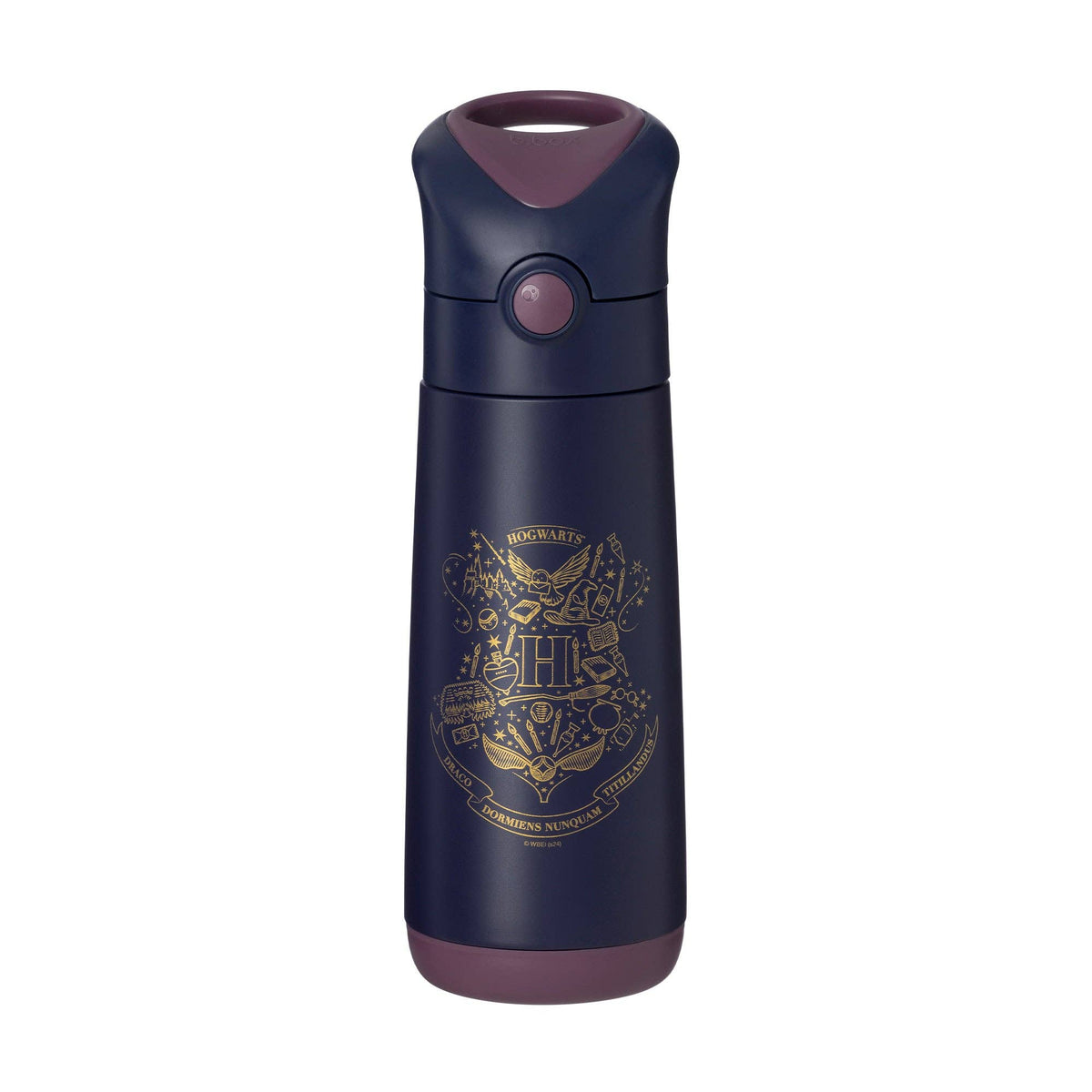 Insulated Drink Bottle - 500ml: Harry Potter