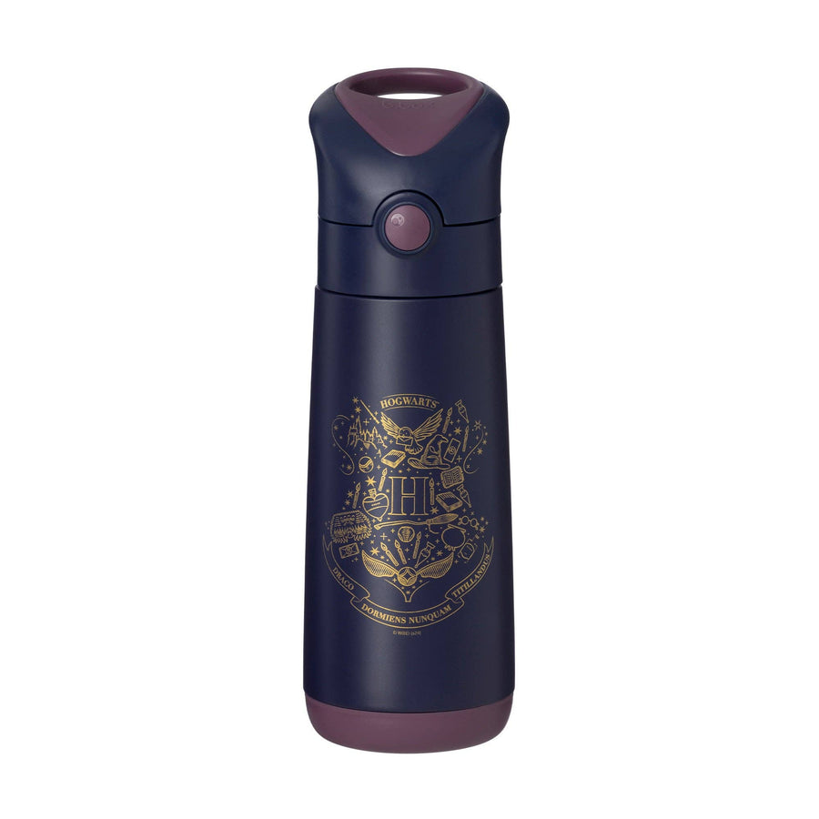 Insulated Drink Bottle - 500ml: Harry Potter