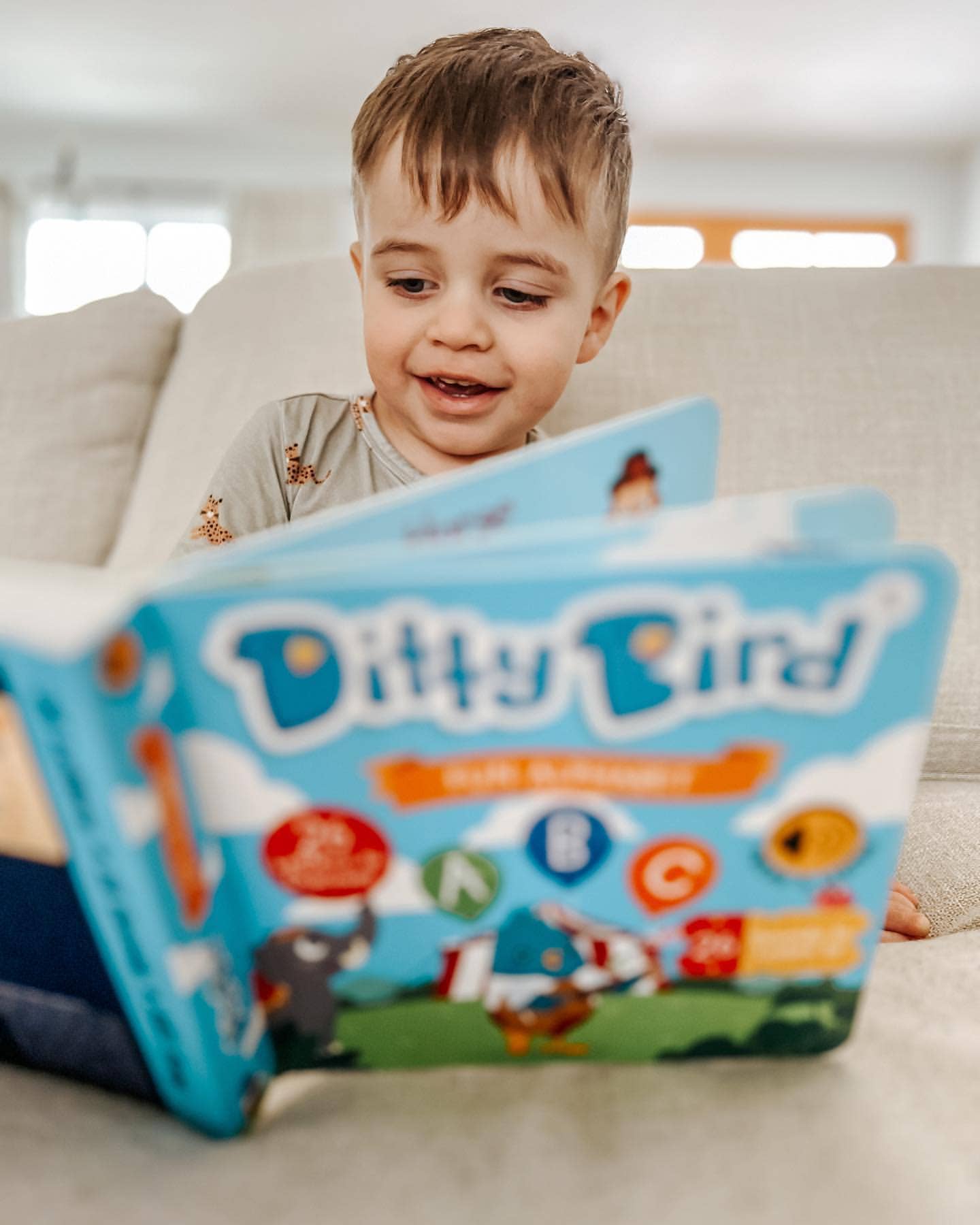 Fun Alphabet | ABC Song | Ditty Bird Baby Sound Book USB-C Ditty Bird