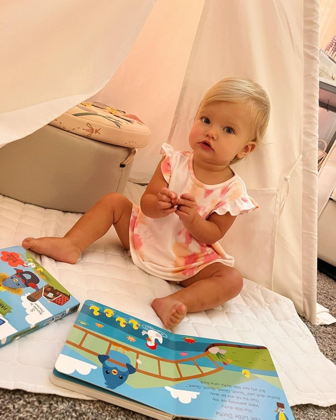 Ditty Bird Farm Animal | Baby Sound Book Farm USB-C Ditty Bird