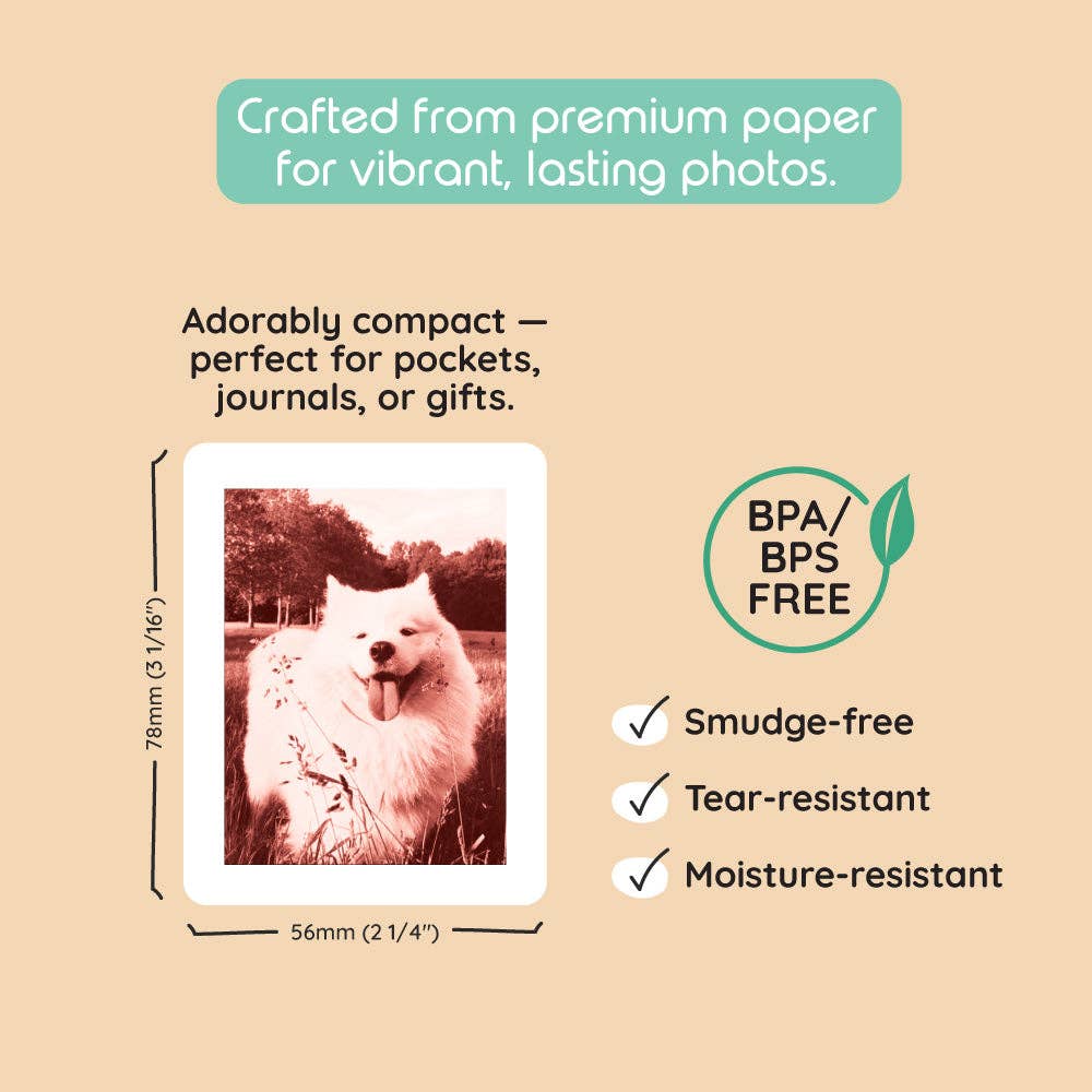 Model P2 Print Pack｜40 Prints kiimento