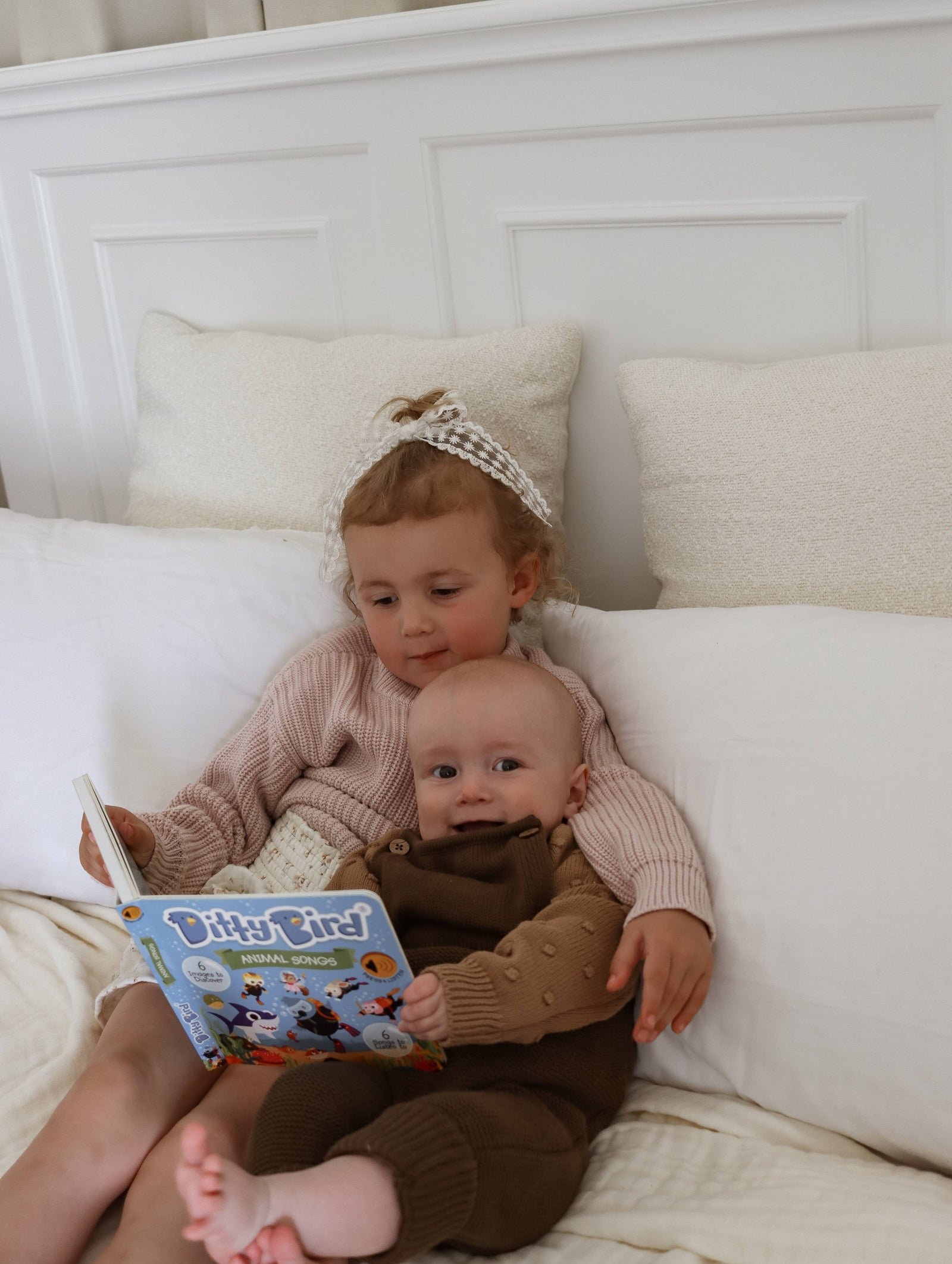 Ditty Bird Book:Animal songs - Baby Shark- BESTSELLER- USB-C Ditty Bird