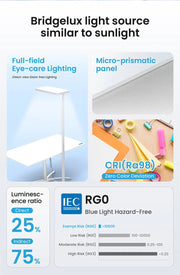 Mérla Lumi Full-Spectrum Floor Lamp Merla Baby