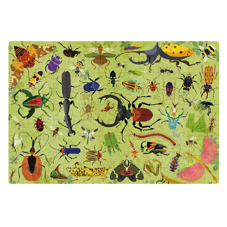 Let's Learn Puzzle: Insect World 126P Mideer