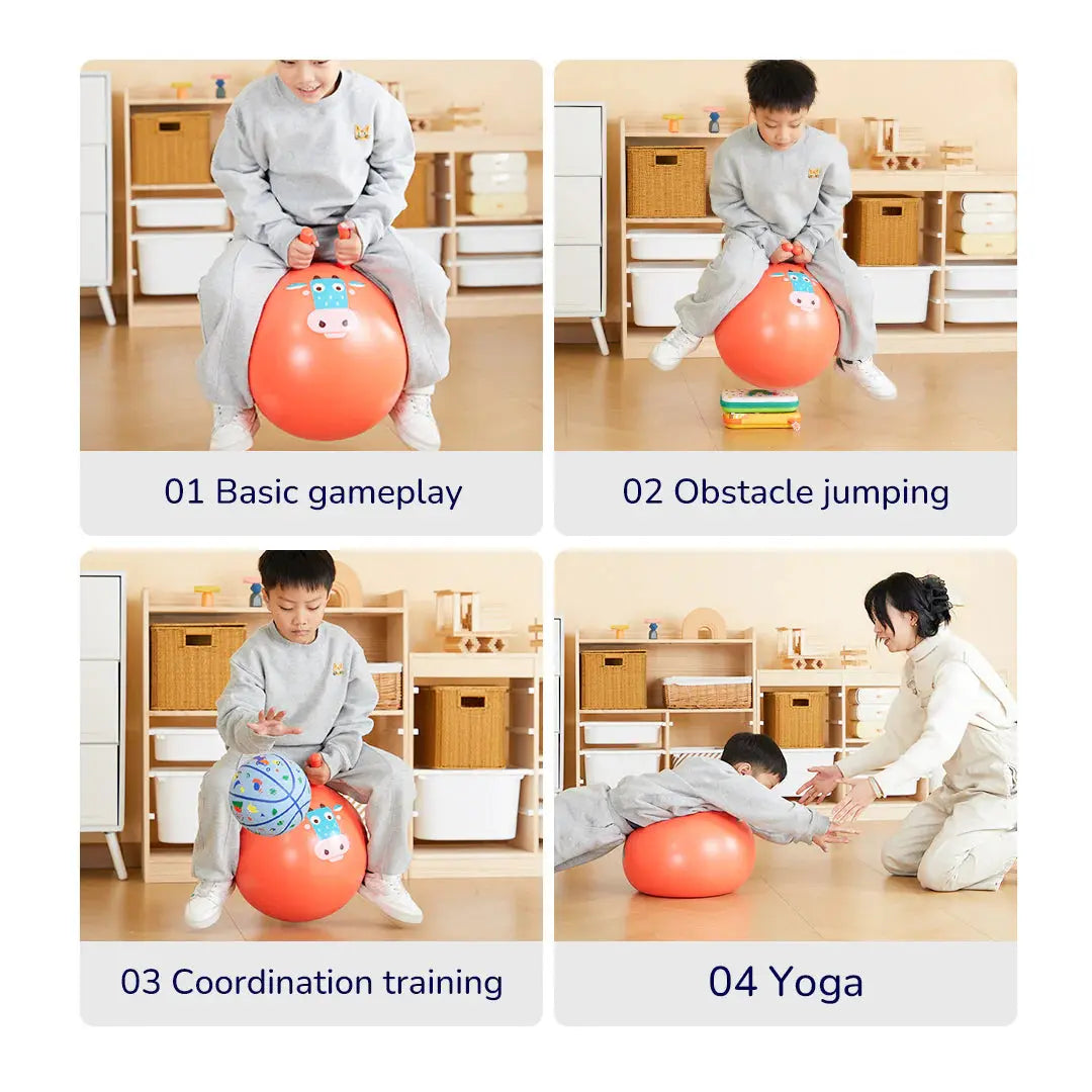Sensory Training Bounce Ball: Goofy Horse Mideer