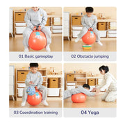Sensory Training Bounce Ball: Goofy Horse Mideer
