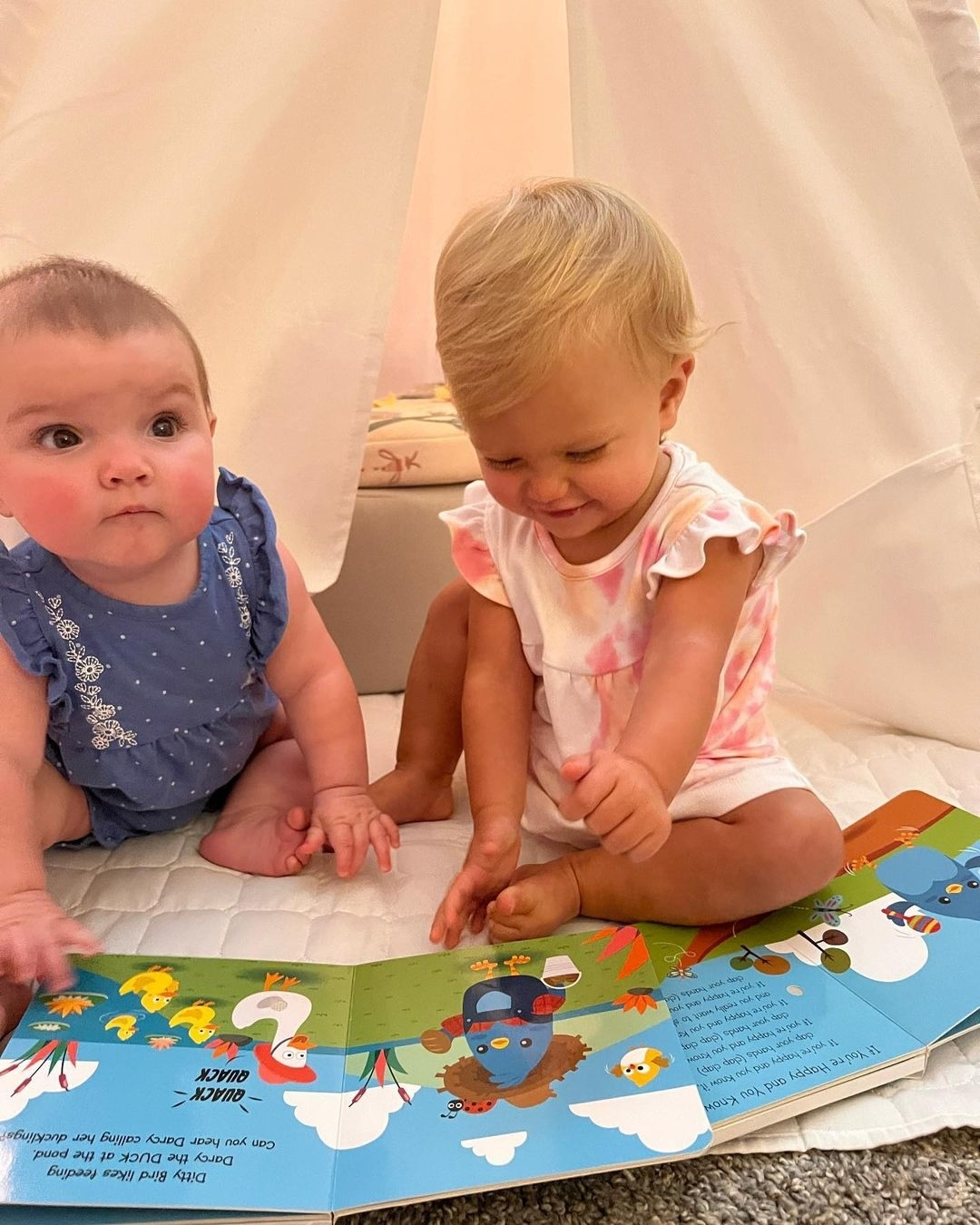 Ditty Bird Farm Animal | Baby Sound Book Farm USB-C Ditty Bird