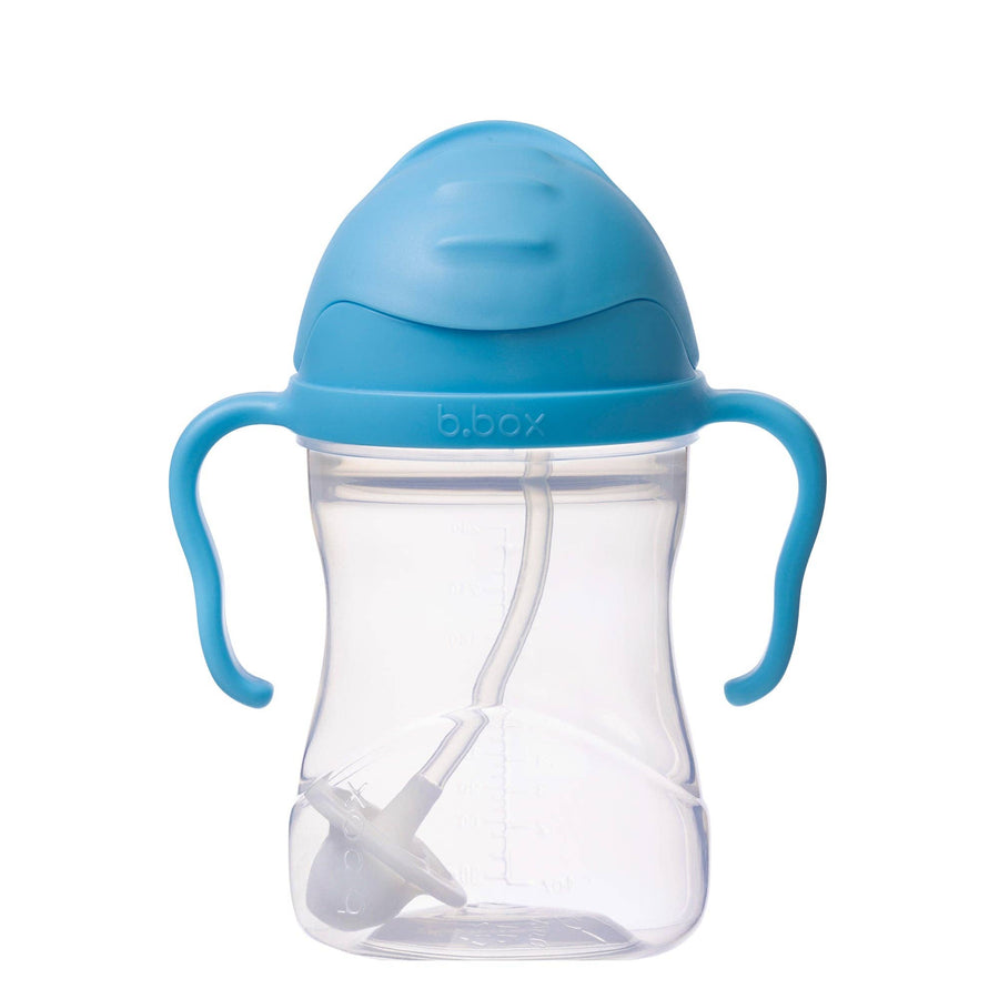 Sippy Straw Cup 240ml: Blueberry