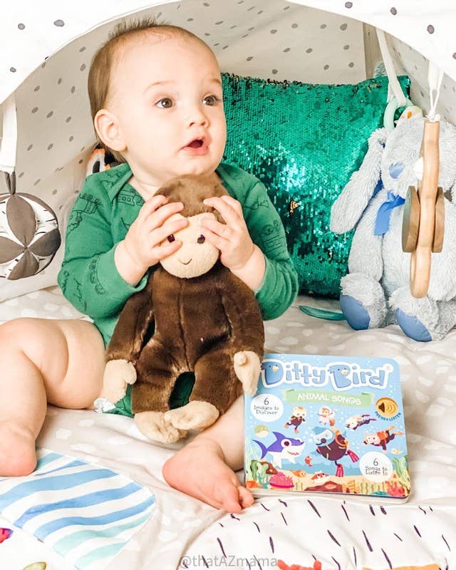 Ditty Bird Book:Animal songs - Baby Shark- BESTSELLER- USB-C Ditty Bird