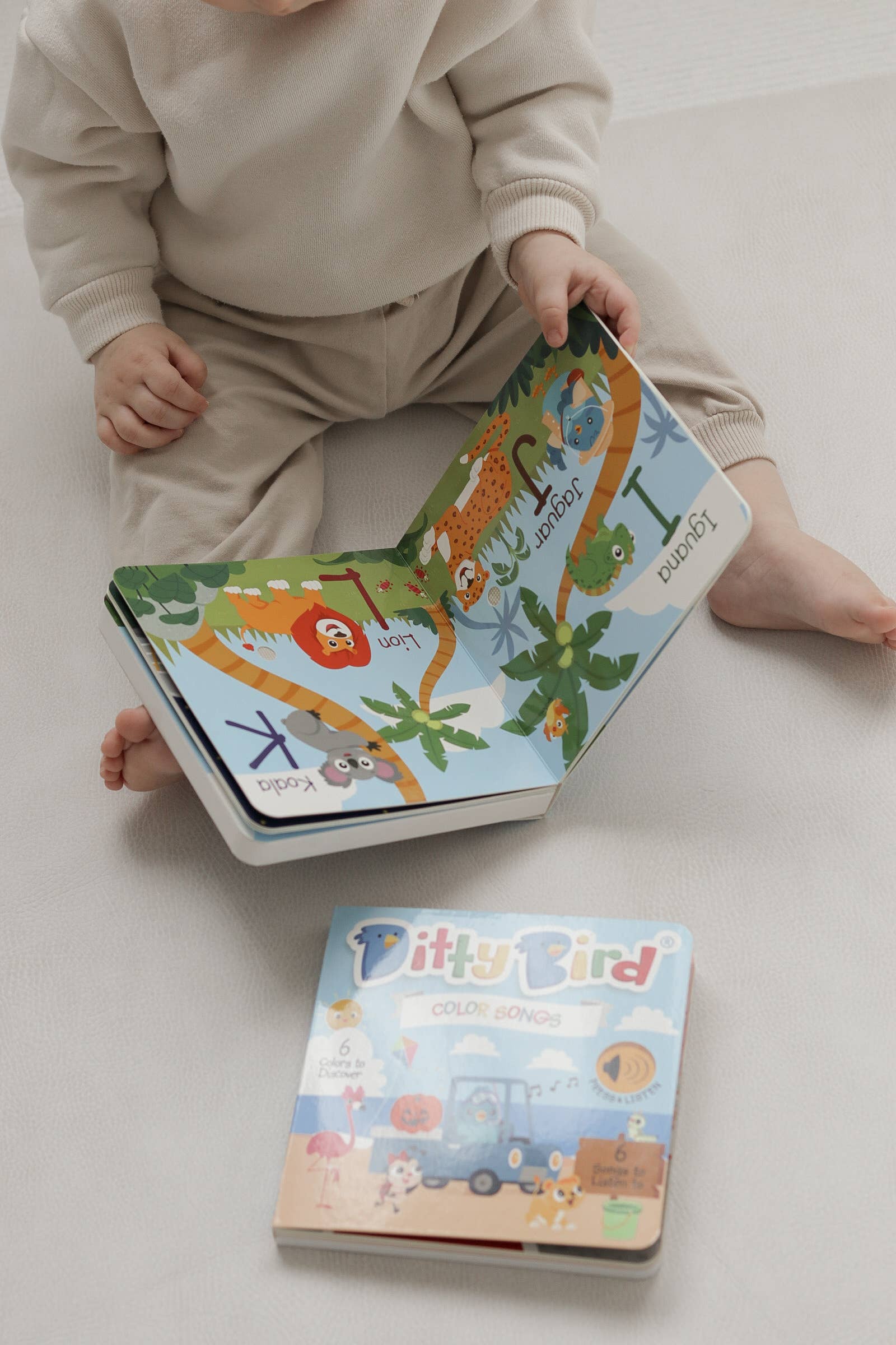 Fun Alphabet | ABC Song | Ditty Bird Baby Sound Book USB-C Ditty Bird
