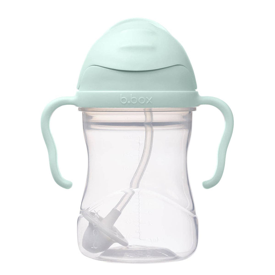 Sippy Straw Cup 240ml: Pistachio
