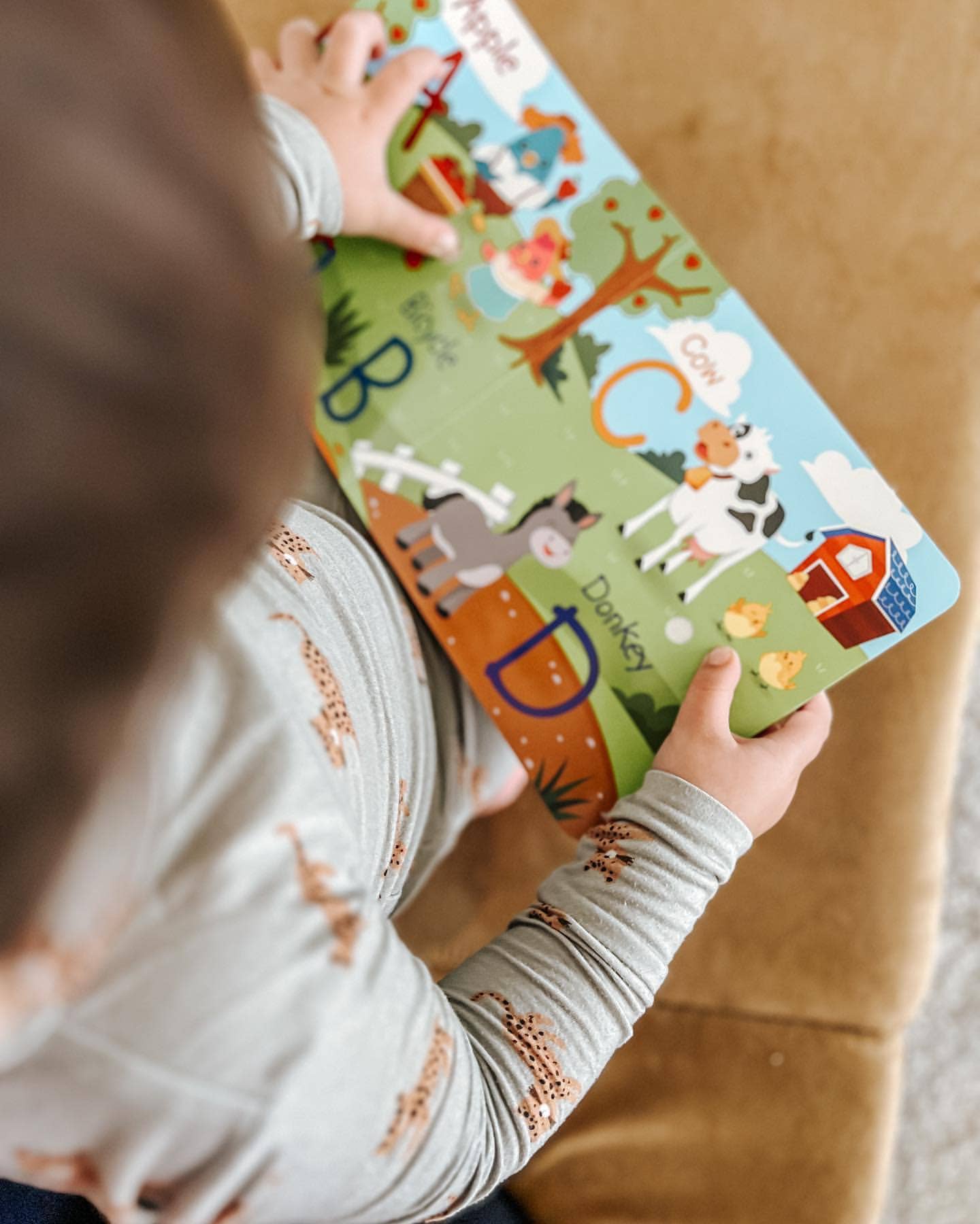 Fun Alphabet | ABC Song | Ditty Bird Baby Sound Book USB-C Ditty Bird