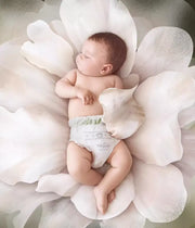 Flower Bud Ultra Soft Pull Up Pants Merla Baby